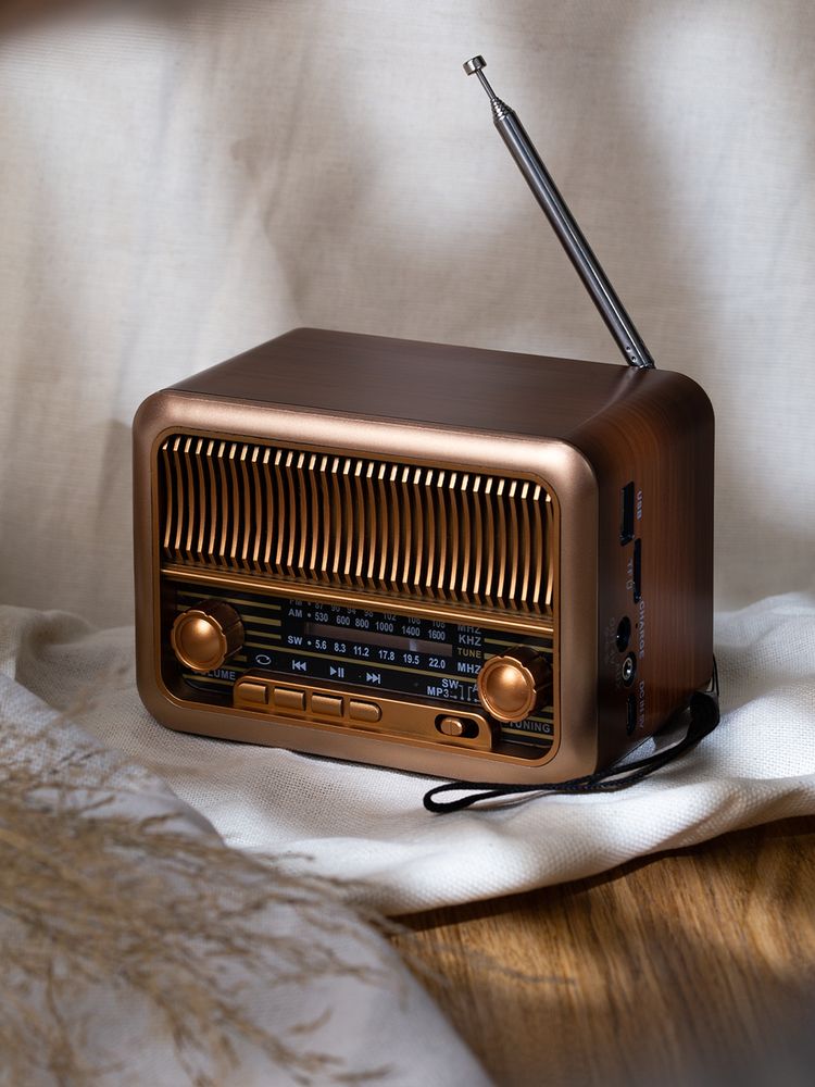 Bluetooth-колонка с радио Beatnik, коричневая — фото 10