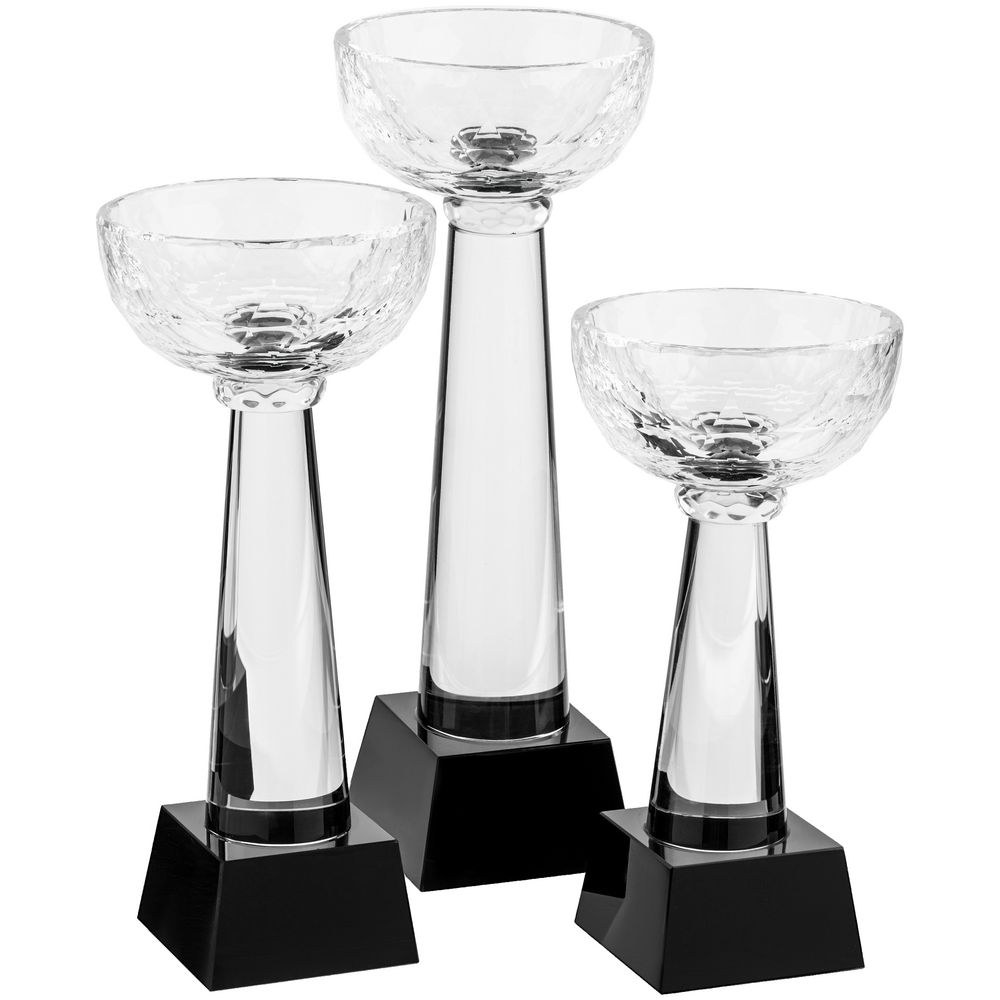 Кубок Cupture, большой — фото 1